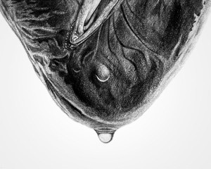 Għoxx Qalbek (literal translation: Vagina Heart)