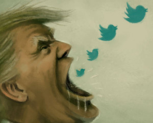 The Evolution of Tweets