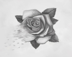 Djun – Band Artwork